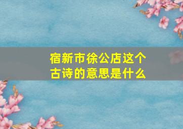 宿新市徐公店这个古诗的意思是什么