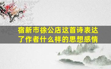 宿新市徐公店这首诗表达了作者什么样的思想感情