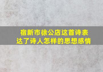 宿新市徐公店这首诗表达了诗人怎样的思想感情