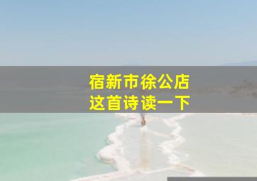 宿新市徐公店这首诗读一下