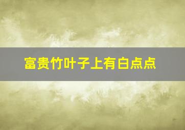 富贵竹叶子上有白点点