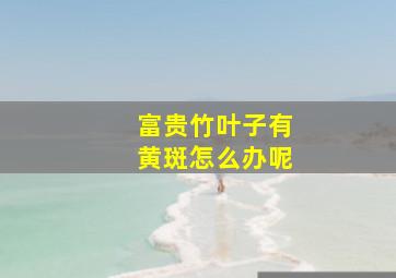 富贵竹叶子有黄斑怎么办呢