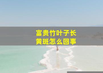 富贵竹叶子长黄斑怎么回事