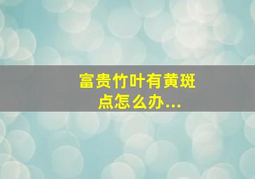 富贵竹叶有黄斑点怎么办...