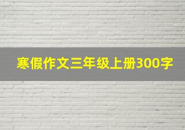 寒假作文三年级上册300字