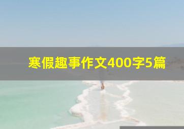 寒假趣事作文400字5篇