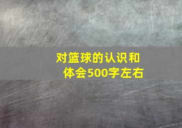 对篮球的认识和体会500字左右