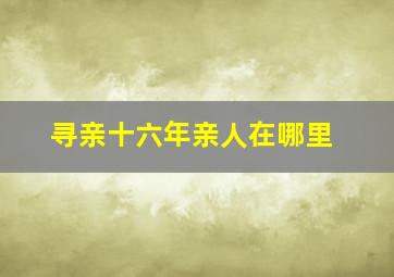 寻亲十六年亲人在哪里