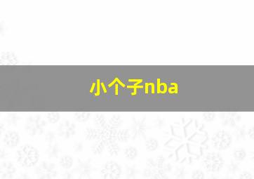 小个子nba