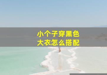 小个子穿黑色大衣怎么搭配