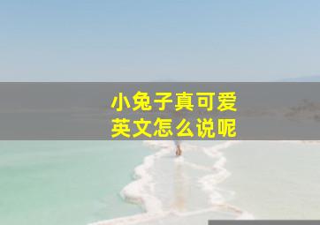 小兔子真可爱英文怎么说呢