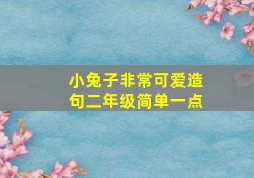 小兔子非常可爱造句二年级简单一点