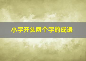 小字开头两个字的成语