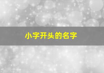 小字开头的名字