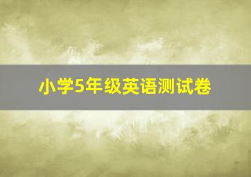 小学5年级英语测试卷