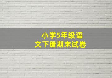 小学5年级语文下册期末试卷