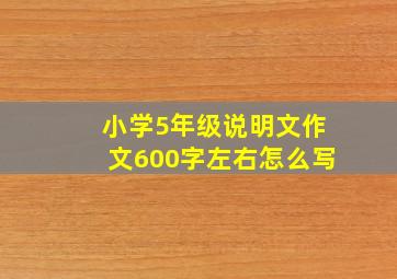 小学5年级说明文作文600字左右怎么写