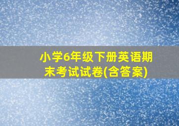 小学6年级下册英语期末考试试卷(含答案)