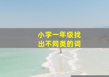 小学一年级找出不同类的词