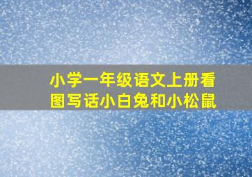 小学一年级语文上册看图写话小白兔和小松鼠