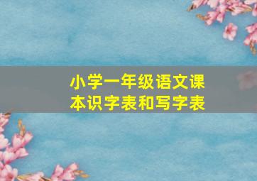 小学一年级语文课本识字表和写字表