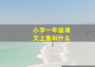 小学一年级课文上鱼叫什么