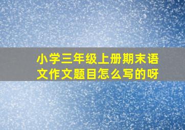 小学三年级上册期末语文作文题目怎么写的呀