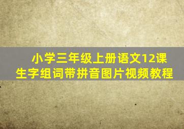 小学三年级上册语文12课生字组词带拼音图片视频教程