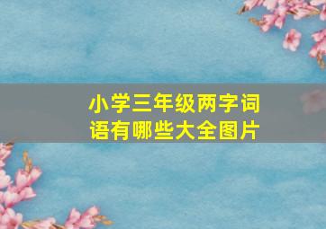 小学三年级两字词语有哪些大全图片