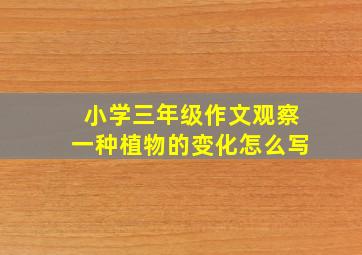 小学三年级作文观察一种植物的变化怎么写