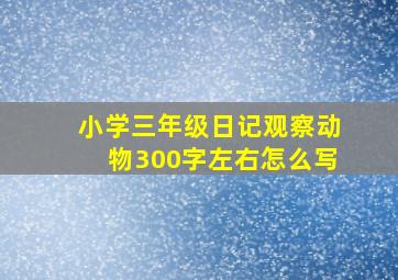 小学三年级日记观察动物300字左右怎么写