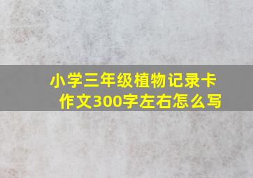 小学三年级植物记录卡作文300字左右怎么写