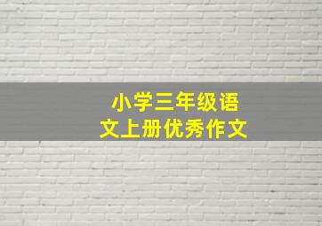 小学三年级语文上册优秀作文