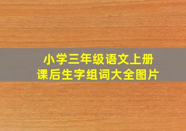 小学三年级语文上册课后生字组词大全图片