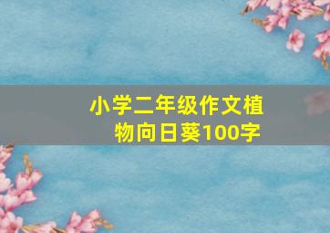 小学二年级作文植物向日葵100字