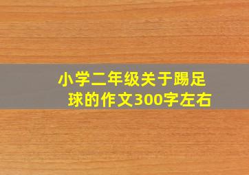 小学二年级关于踢足球的作文300字左右