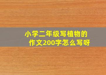 小学二年级写植物的作文200字怎么写呀