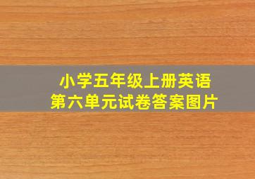 小学五年级上册英语第六单元试卷答案图片