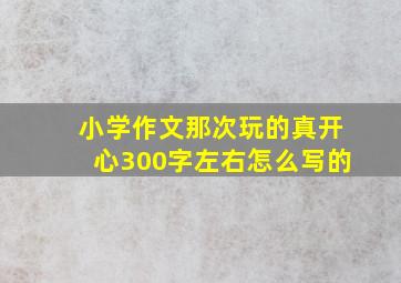 小学作文那次玩的真开心300字左右怎么写的