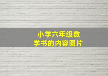 小学六年级数学书的内容图片