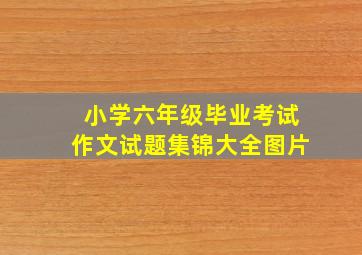 小学六年级毕业考试作文试题集锦大全图片