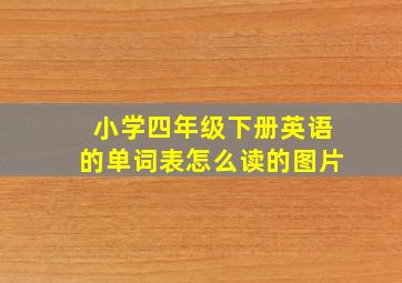 小学四年级下册英语的单词表怎么读的图片