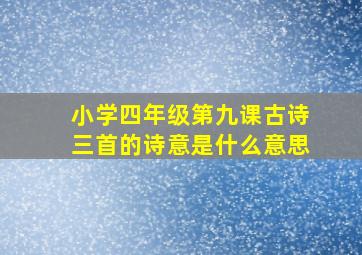 小学四年级第九课古诗三首的诗意是什么意思