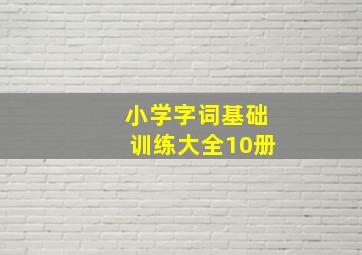 小学字词基础训练大全10册