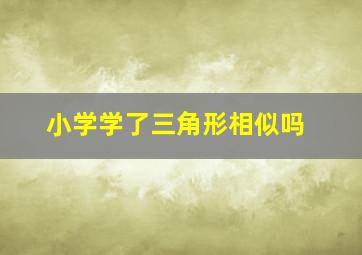 小学学了三角形相似吗