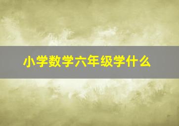 小学数学六年级学什么