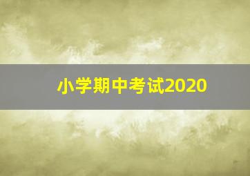 小学期中考试2020