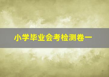 小学毕业会考检测卷一