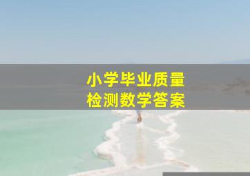 小学毕业质量检测数学答案