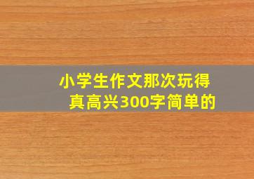 小学生作文那次玩得真高兴300字简单的